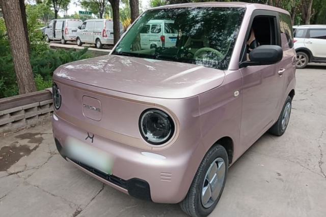 Used Geely Galaxy Panda 2023 Panda Mini 200km Endurance Bear