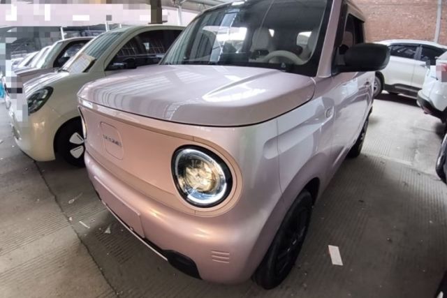 Ojetý Geely Galaxy Panda 2023 Panda Mini 200km Endurance Bear