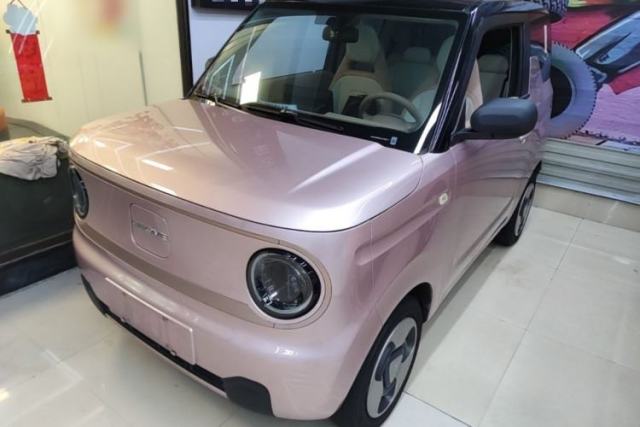Used Geely Galaxy Panda 2023 Panda Mini 200km Dynamic Bear