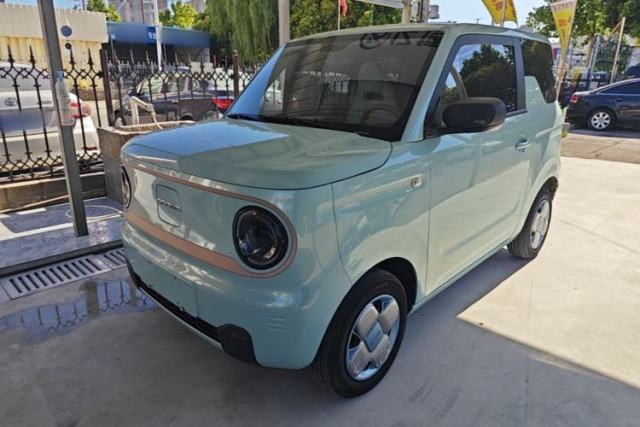 Geely Galaxy Panda 2023 Panda Mini 200km Endurance Bear с пробегом