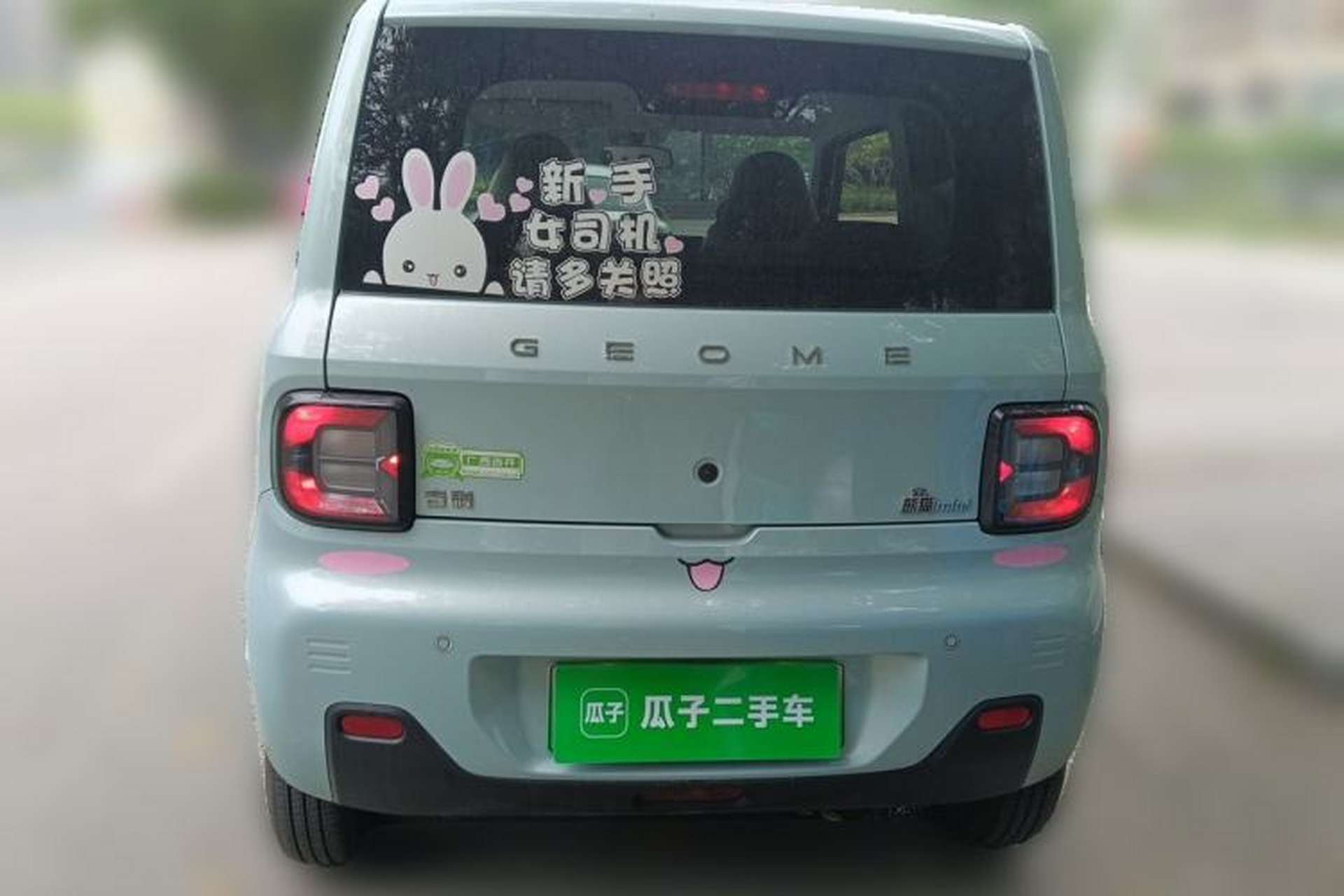Used Geely Galaxy Panda 2023 Panda Mini 120km Super Cute Bear Exterior 4