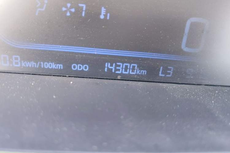 Used Geely Galaxy Panda 2023 Panda Mini 200km Endurance Bear Odometer Close Up