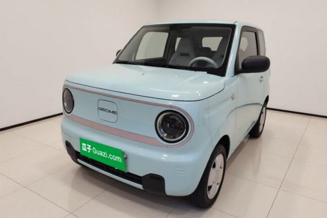 Geely Galaxy Panda 2023 Panda Mini 200km Endurance Bear usado