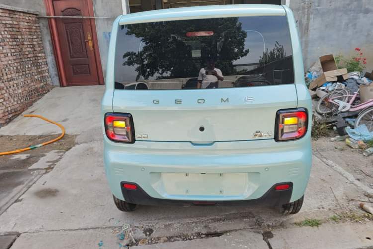 Used Geely Galaxy Panda 2023 Panda Mini 120km Super Cute Bear Rear