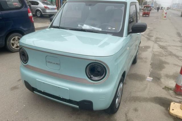 Geely Galaxy Panda 2023 Panda Mini 200km Endurance Bear с пробегом