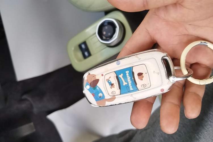 Used Geely Galaxy Panda 2023 Panda Mini 200km Endurance Bear Vehicle Key