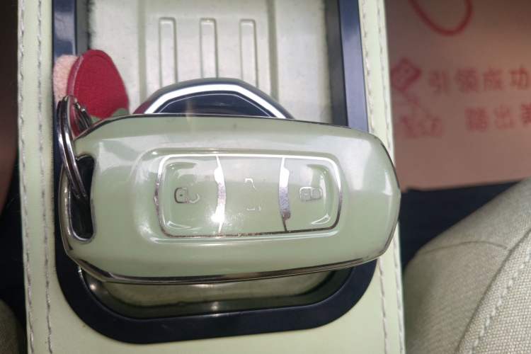 Used Geely Galaxy Panda 2023 Panda Mini 200km Endurance Bear Vehicle Key