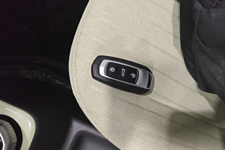 Used Geely Galaxy Panda 2023 Panda Mini 200km Endurance Bear Vehicle Key