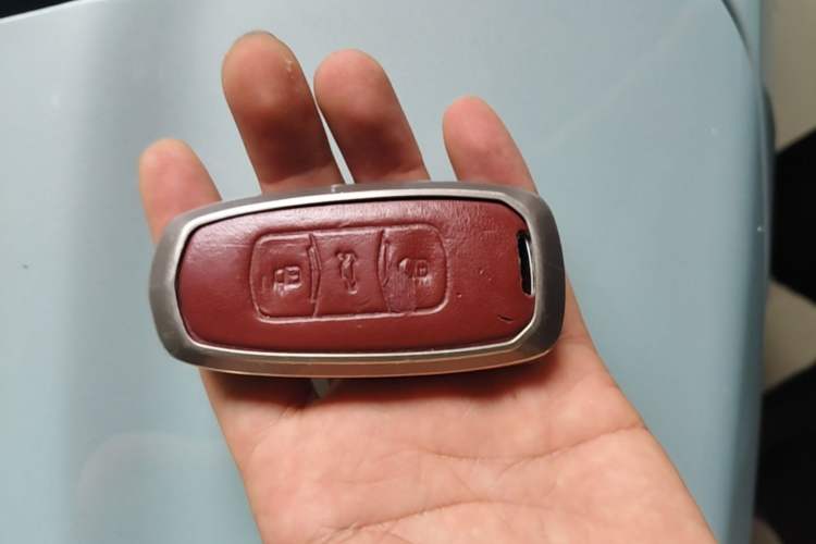 Used Geely Galaxy Panda 2023 Panda Mini 120km Cute Bear Vehicle Key