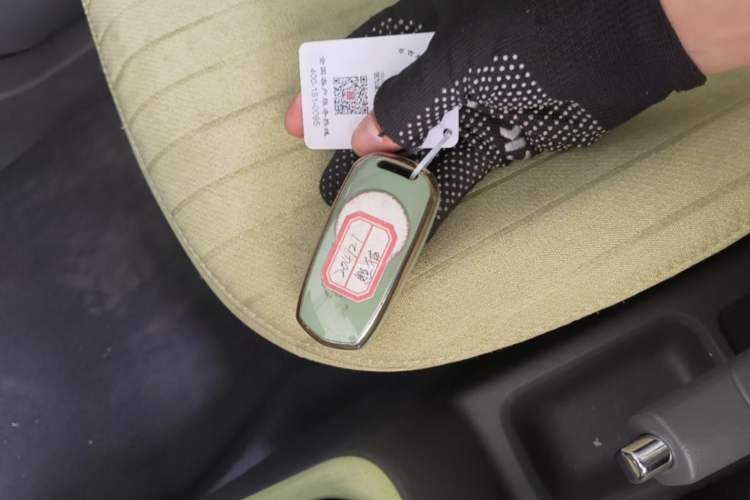 Used Geely Galaxy Panda 2023 Panda Mini 200km Endurance Bear Vehicle Key