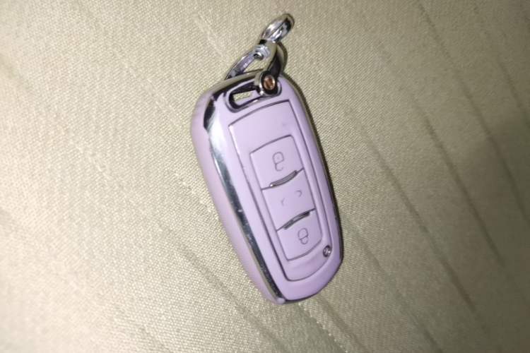 Used Geely Galaxy Panda 2023 Panda Mini 200km Endurance Bear Vehicle Key