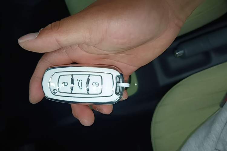 Used Geely Galaxy Panda 2023 Panda Mini 200km Endurance Bear Vehicle Key