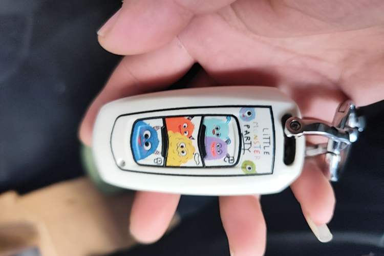 Used Geely Galaxy Panda 2023 Panda Mini 200km Endurance Bear Vehicle Key