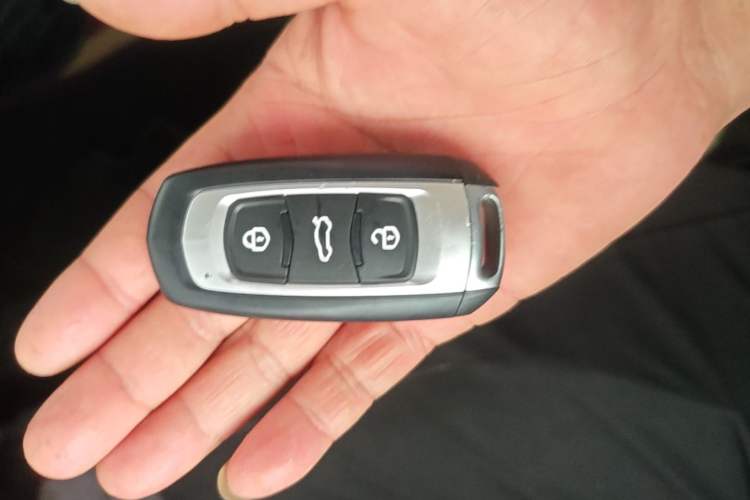 Used Geely Galaxy Panda 2023 Panda Mini 200km Dynamic Bear Vehicle Key