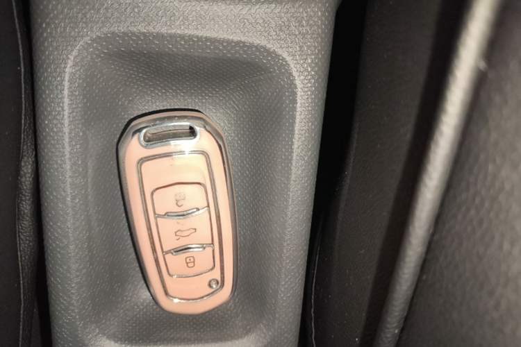 Used Geely Galaxy Panda 2023 Panda Mini 200km Endurance Bear Vehicle Key