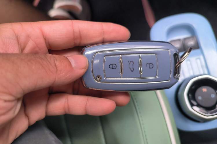 Used Geely Galaxy Panda 2023 Panda Mini 200km Endurance Bear Vehicle Key