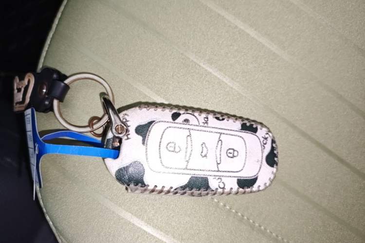Used Geely Galaxy Panda 2023 Panda Mini 200km Dynamic Bear Vehicle Key