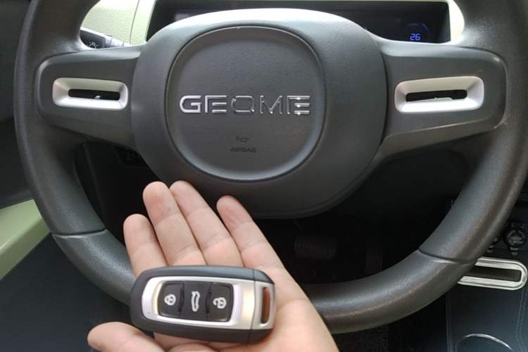 Used Geely Galaxy Panda 2023 Panda Mini 200km Endurance Bear Vehicle Key