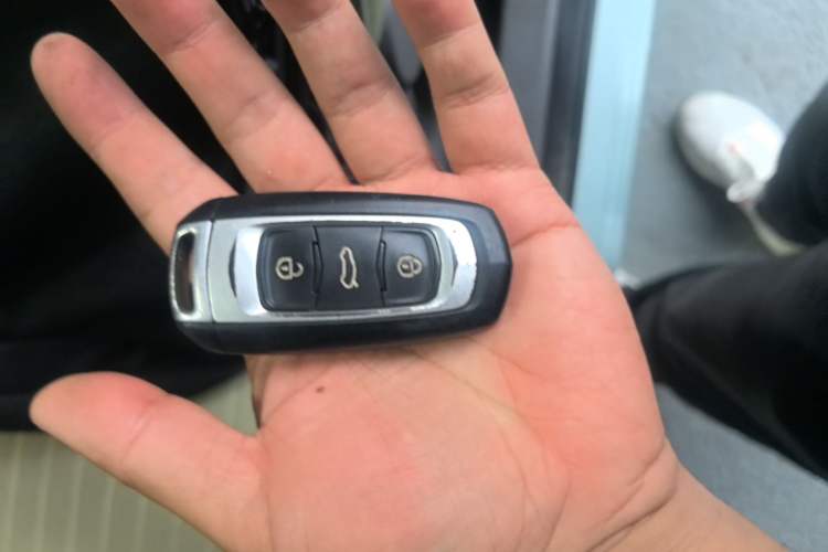 Used Geely Galaxy Panda 2023 Panda Mini 200km Dynamic Bear Vehicle Key