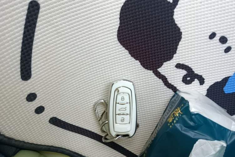 Used Geely Galaxy Panda 2023 Panda Mini 200km Endurance Bear Vehicle Key