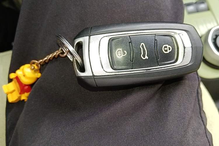 Used Geely Galaxy Panda 2023 Panda Mini 200km Endurance Bear Vehicle Key