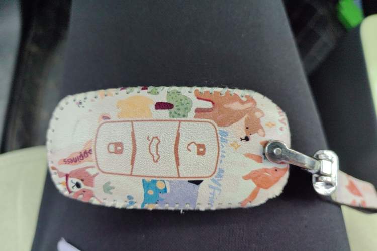 Used Geely Galaxy Panda 2023 Panda Mini 200km Endurance Bear Vehicle Key