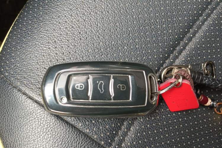 Used Geely Galaxy Panda 2023 Panda Mini 200km Endurance Bear Vehicle Key