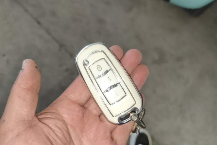 Used Geely Galaxy Panda 2023 Panda Mini 200km Endurance Bear Vehicle Key