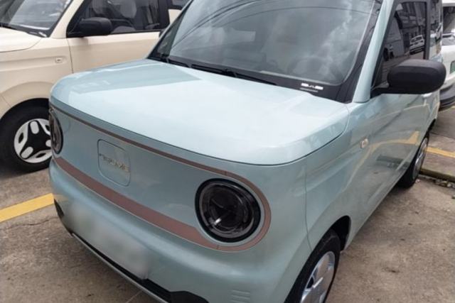 Used Geely Galaxy Panda 2023 Panda Mini 200km Endurance Bear