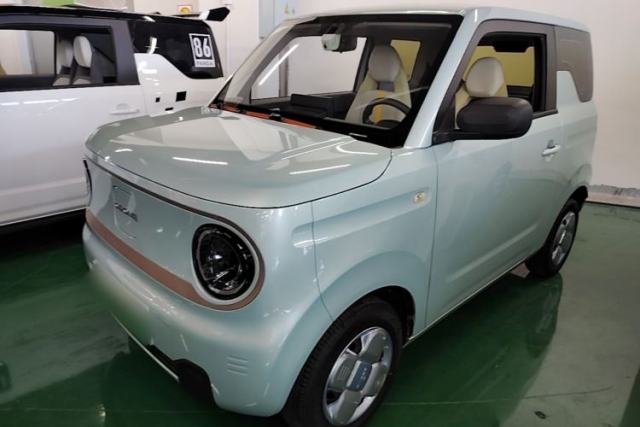 Used Geely Galaxy Panda 2023 Panda Mini 200km Endurance Bear
