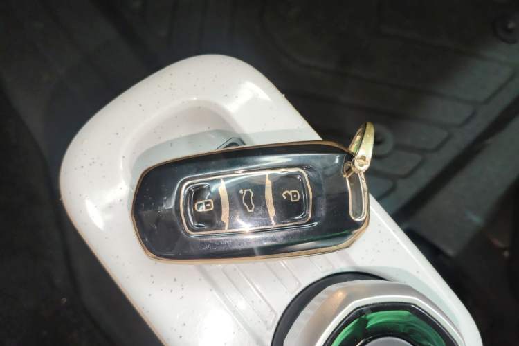 Used Geely Galaxy Panda 2023 Panda Mini 200km Endurance Bear Interior 1