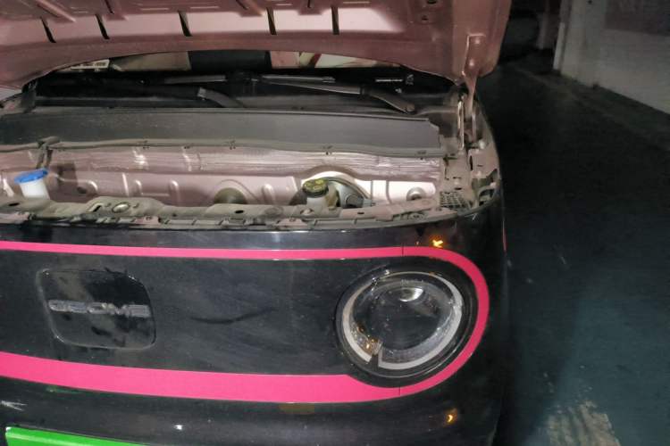 Used Geely Galaxy Panda 2023 Panda Mini 200km Endurance Bear Engine Bay Left