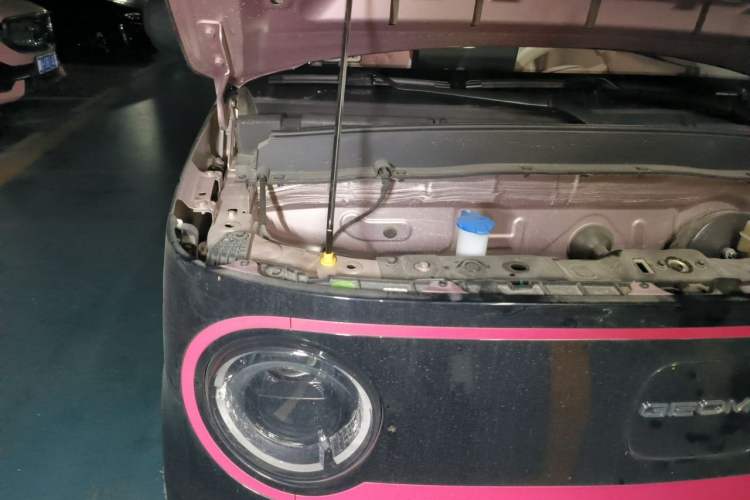 Used Geely Galaxy Panda 2023 Panda Mini 200km Endurance Bear Engine Bay Right