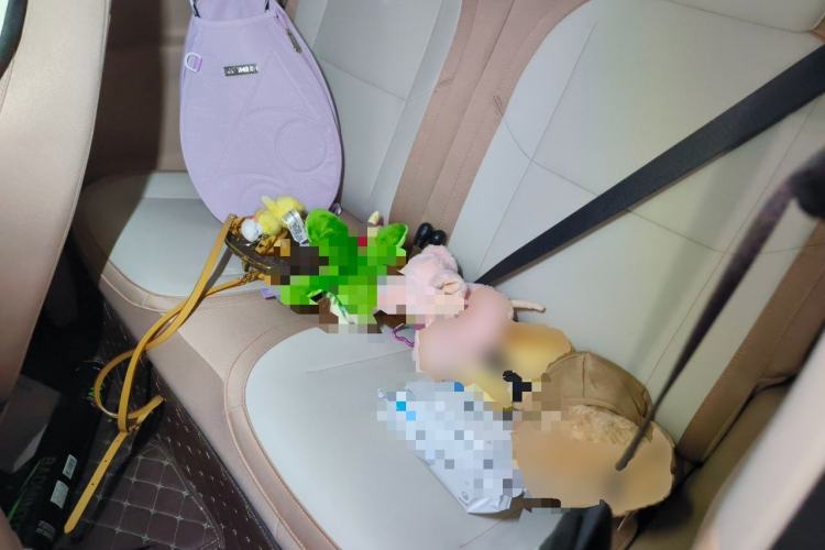 Used Geely Galaxy Panda 2023 Panda Mini 200km Endurance Bear Left Rear Seat