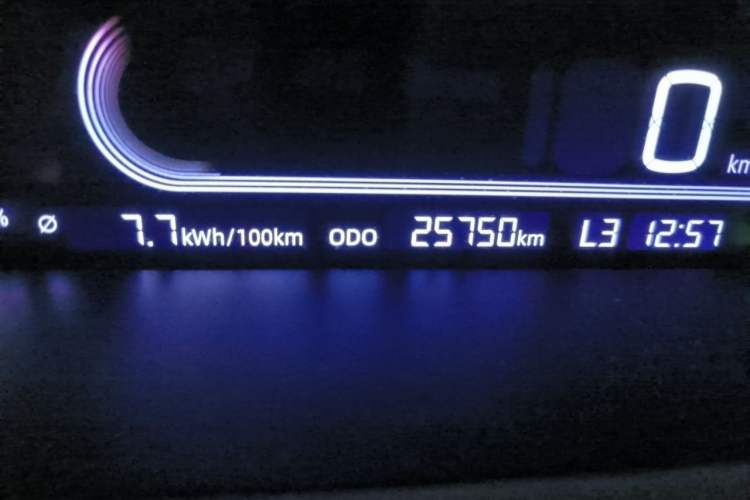 Used Geely Galaxy Panda 2023 Panda Mini 200km Endurance Bear Odometer Close Up