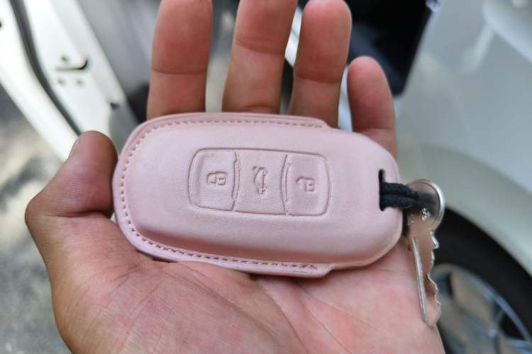 Used Geely Galaxy Panda 2023 Panda Mini 200km Endurance Bear Vehicle Key
