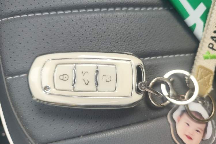 Used Geely Galaxy Panda 2023 Panda Mini 200km Endurance Bear Vehicle Key