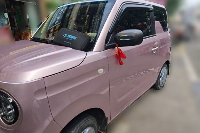 Used Geely Galaxy Panda 2023 Panda Mini 200km Endurance Bear