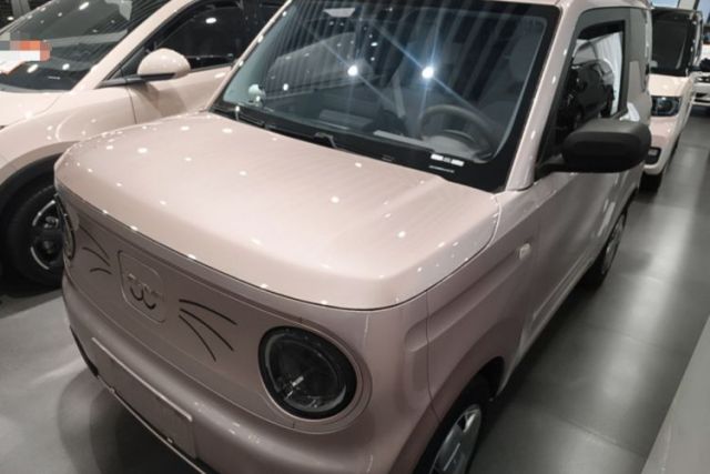 Used Geely Galaxy Panda 2023 Panda Mini 200km Endurance Bear