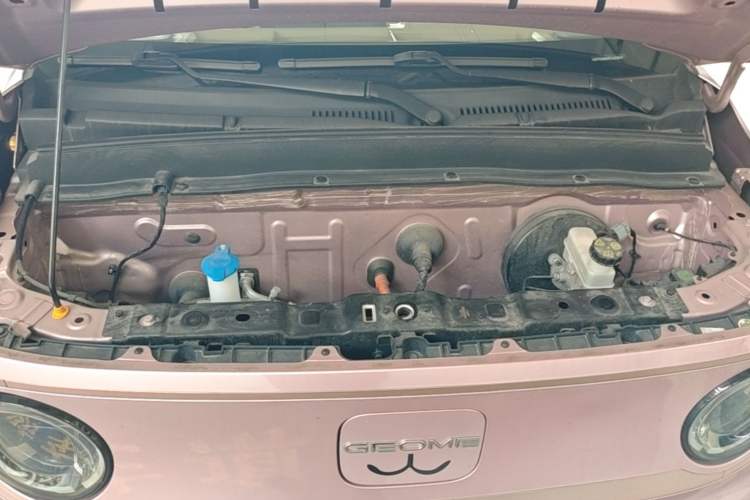 Used Geely Galaxy Panda 2023 Panda Mini 200km Endurance Bear Engine Bay