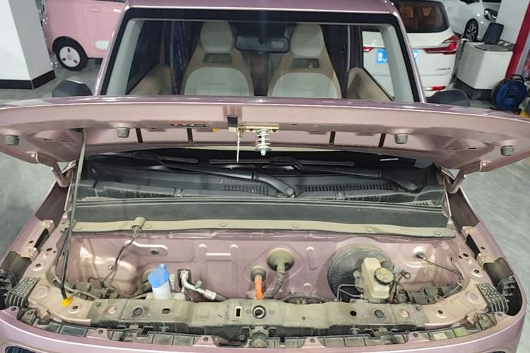 Used Geely Galaxy Panda 2023 Panda Mini 200km Endurance Bear Engine Bay