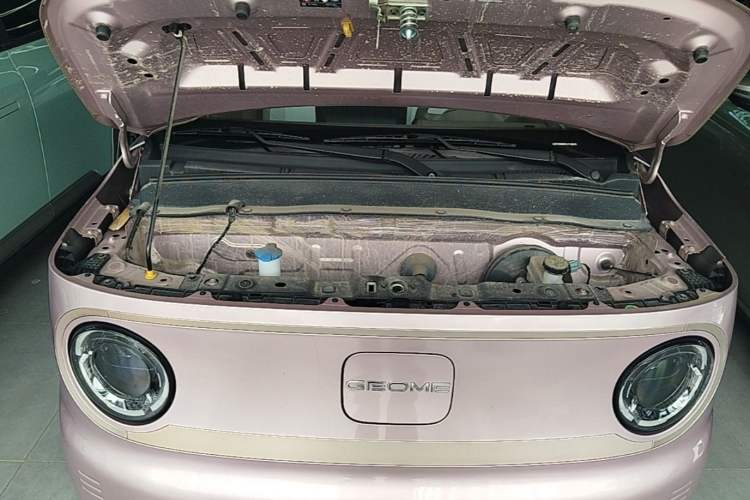 Used Geely Galaxy Panda 2023 Panda Mini 120km Cute Bear Engine Bay