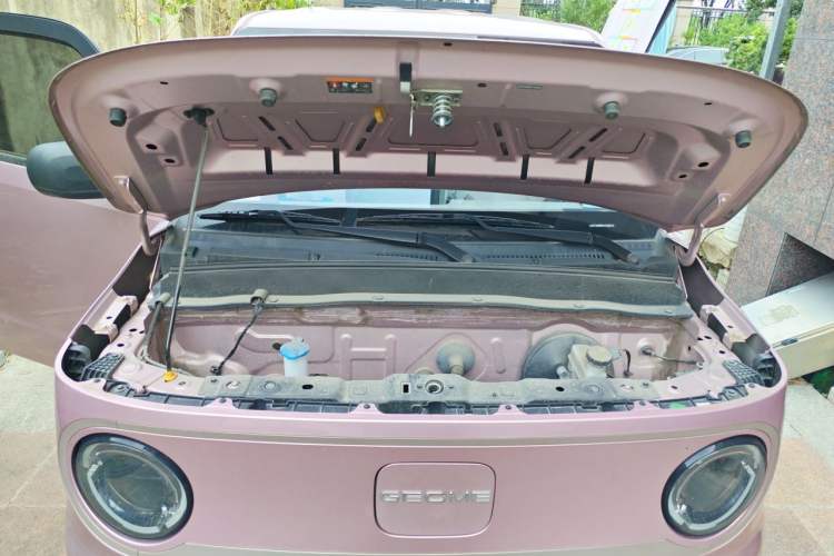 Used Geely Galaxy Panda 2023 Panda Mini 200km Endurance Bear Engine Bay
