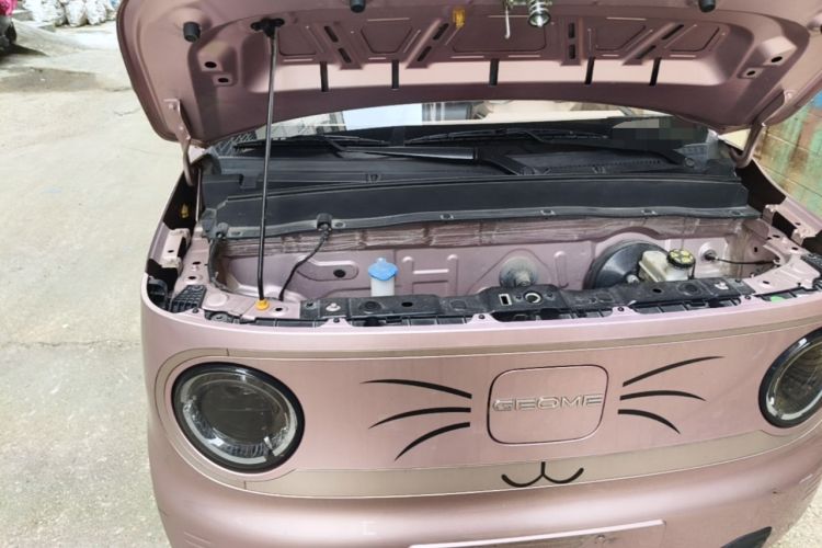 Used Geely Galaxy Panda 2023 Panda Mini 200km Endurance Bear Engine Bay Right