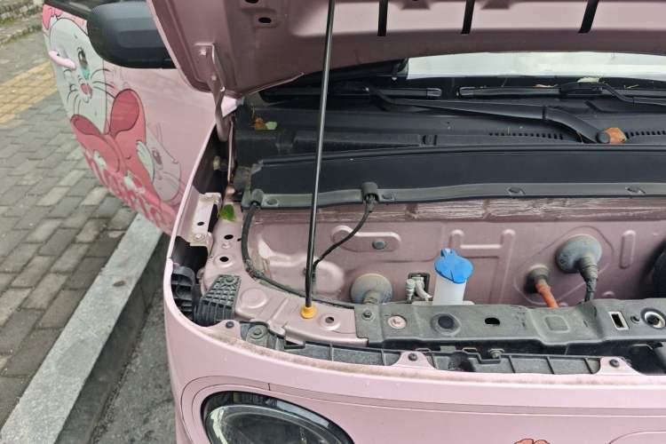 Used Geely Galaxy Panda 2023 Panda Mini 200km Endurance Bear Engine Bay Right