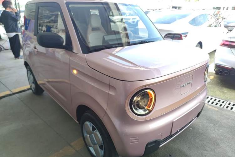 Used Geely Galaxy Panda 2023 Panda Mini 200km Endurance Bear Exterior 1