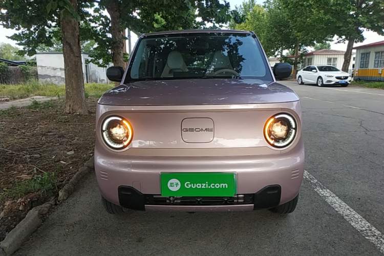 Used Geely Galaxy Panda 2023 Panda Mini 200km Endurance Bear Front