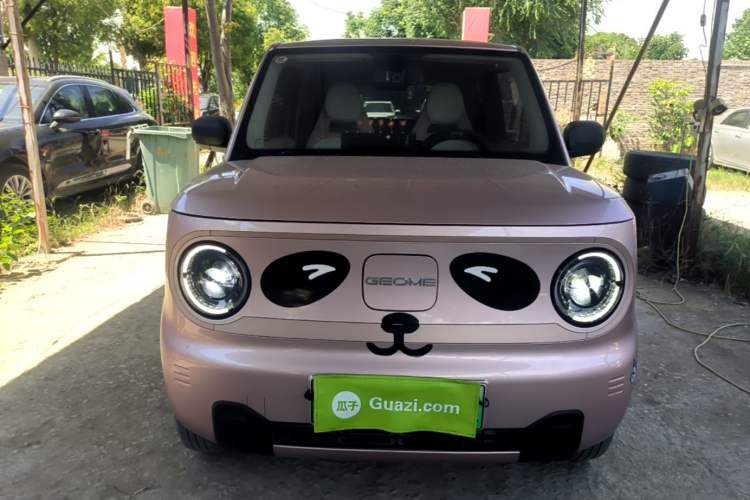 Used Geely Galaxy Panda 2023 Panda Mini 200km Endurance Bear Front
