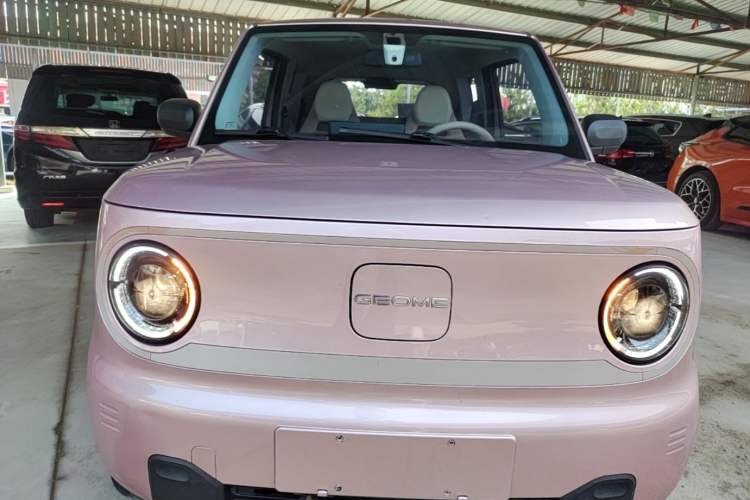 Used Geely Galaxy Panda 2023 Panda Mini 200km "Lucky Duck" Limited Edition – Lucky You! Front