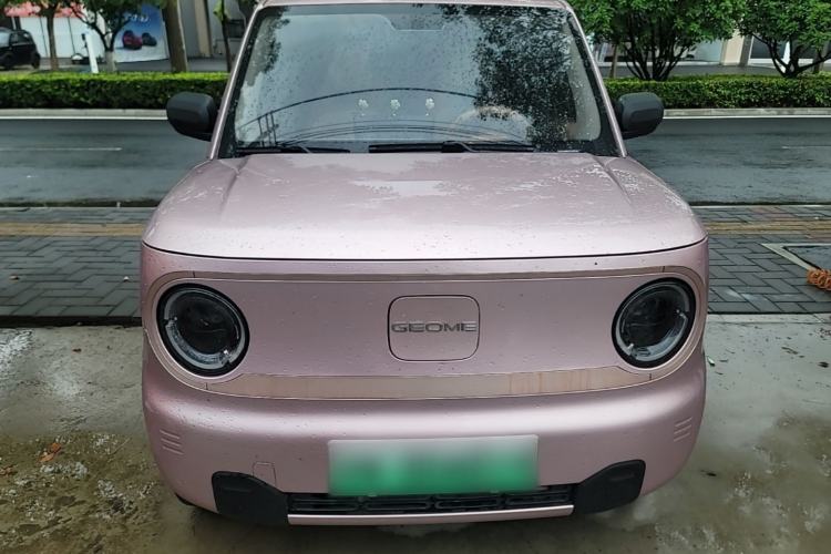 Used Geely Galaxy Panda 2023 Panda Mini 200km Endurance Bear Front